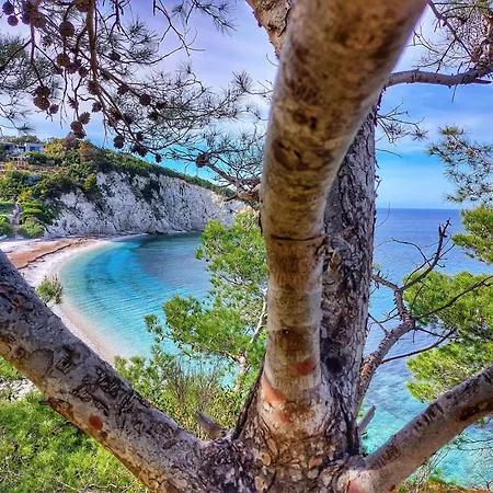 Casa Stellino 33 Nel Cuore Di Διαμέρισμα