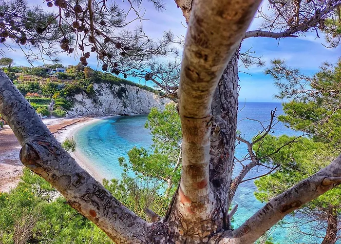 Casa Stellino 33 Nel Cuore Di Apartment